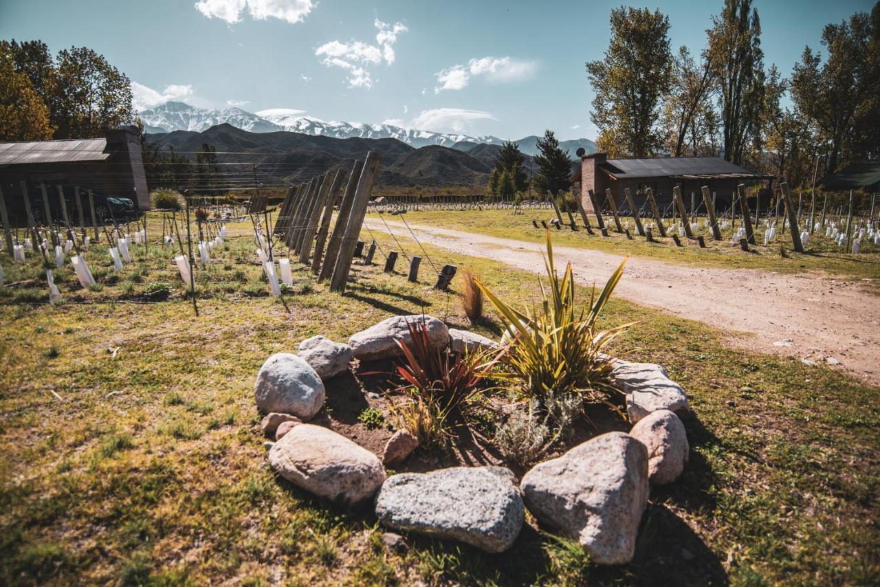 Ayres De Uco Lodge & Wine Lovers Los Arboles Exterior photo